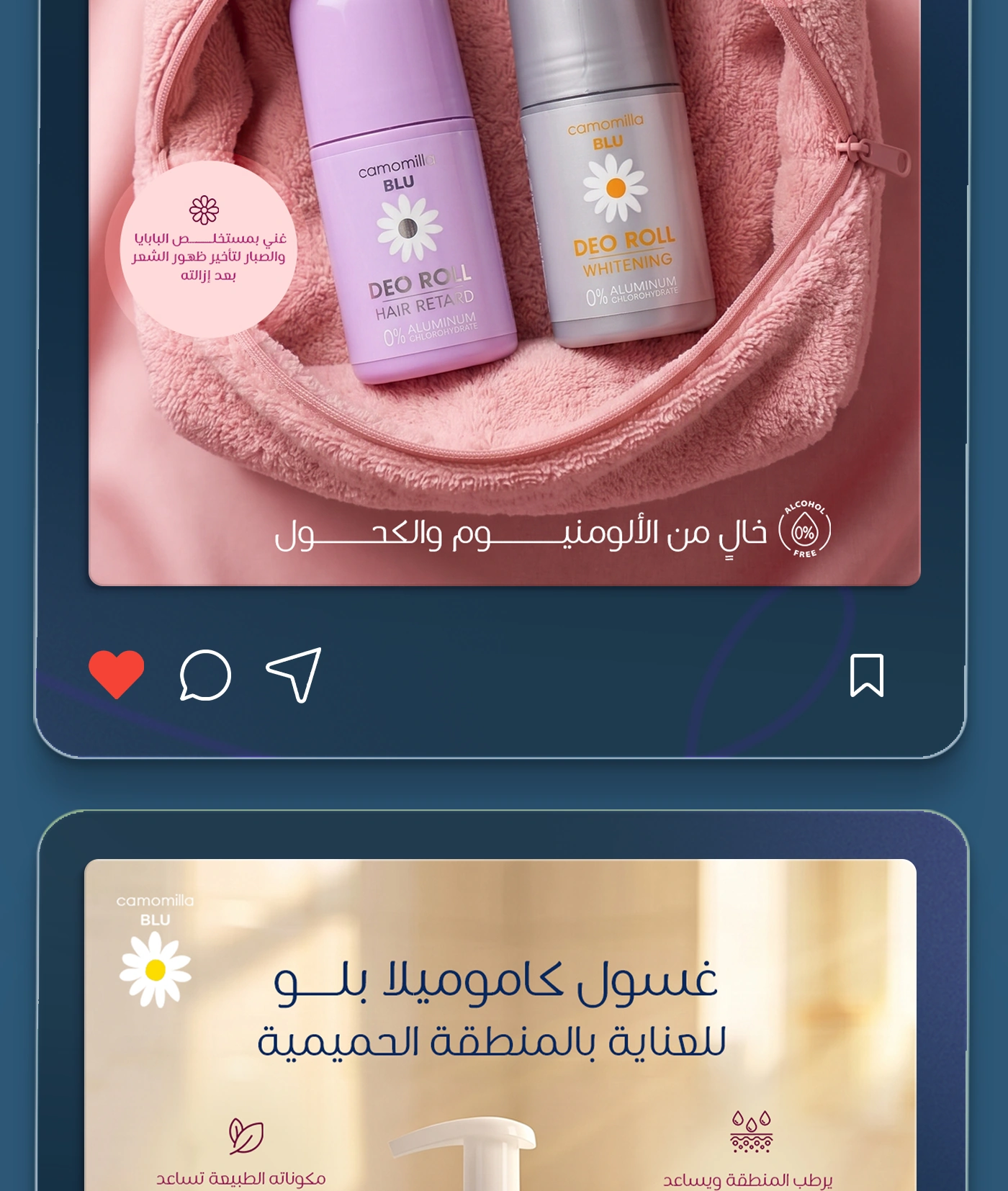 كاموميلا بلو 6